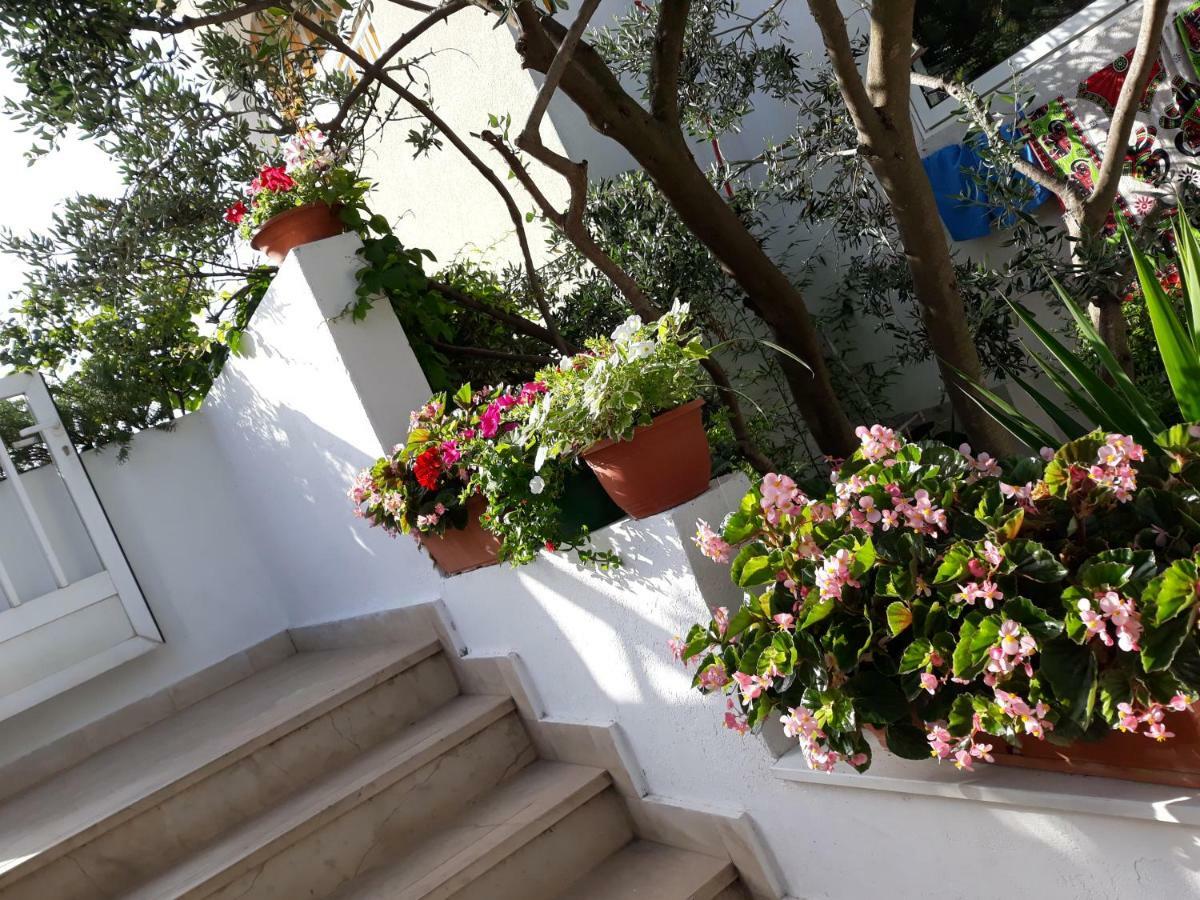 B&B Buzolic Hvar Town Kültér fotó